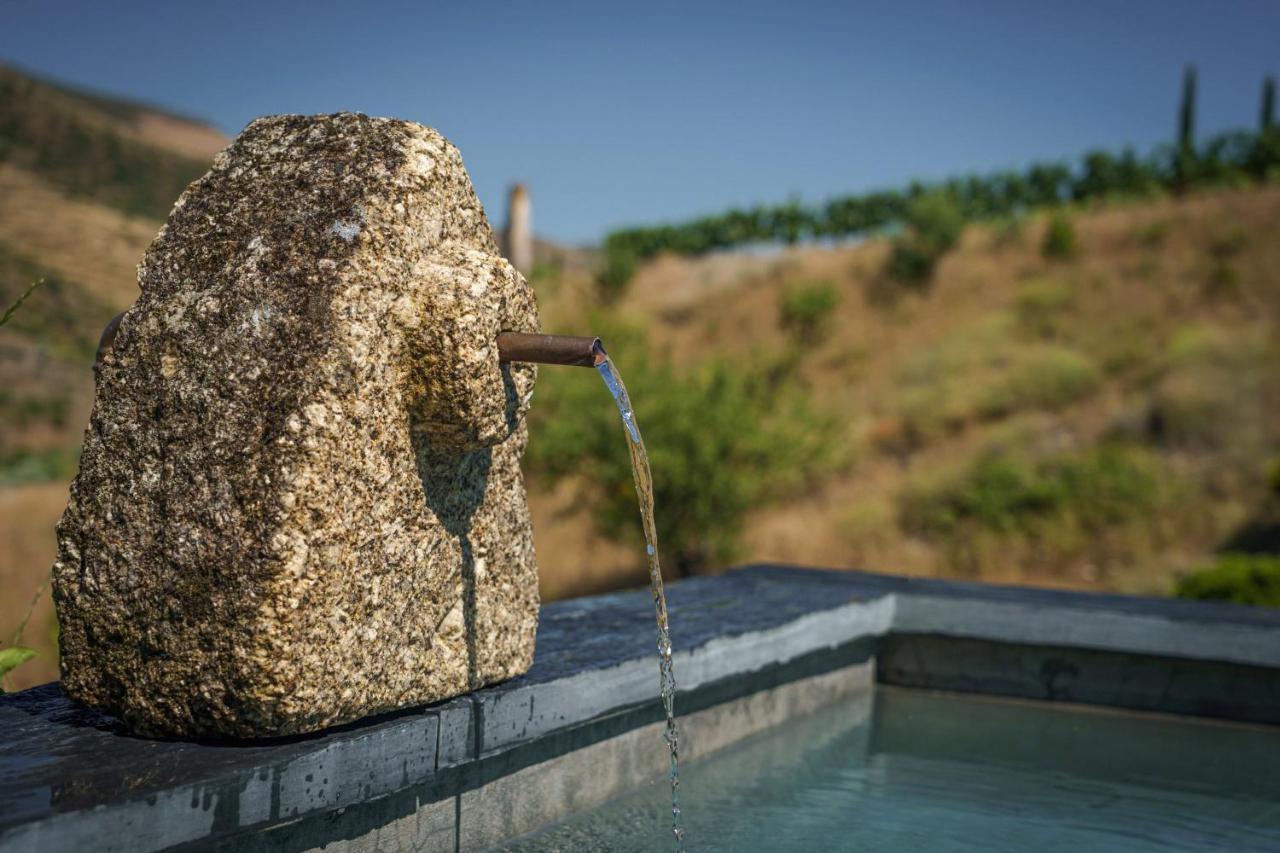 Casa Do Rio - Douro Wine Hotel By Vallado فيلا نوفا دي فوز كوا المظهر الخارجي الصورة