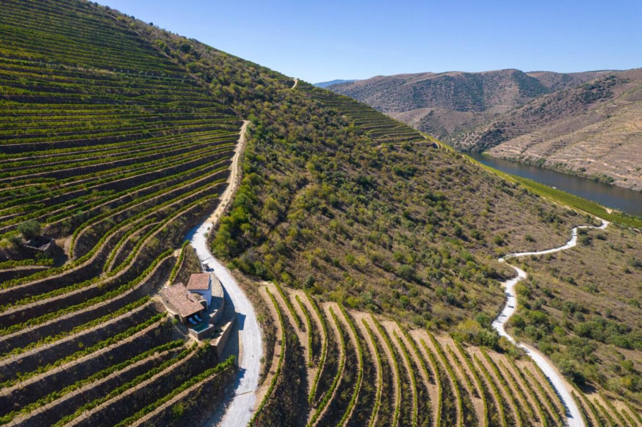 Casa Do Rio - Douro Wine Hotel By Vallado فيلا نوفا دي فوز كوا المظهر الخارجي الصورة