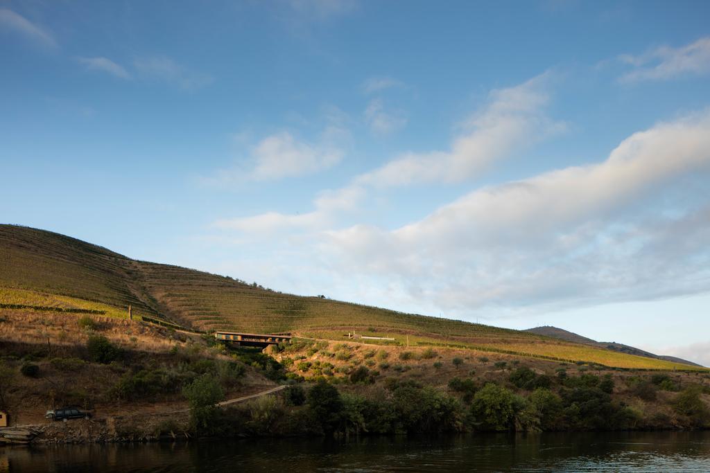 Casa Do Rio - Douro Wine Hotel By Vallado فيلا نوفا دي فوز كوا المظهر الخارجي الصورة