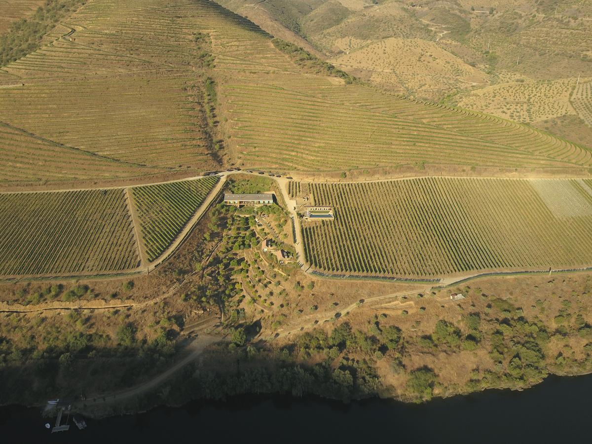 Casa Do Rio - Douro Wine Hotel By Vallado فيلا نوفا دي فوز كوا المظهر الخارجي الصورة